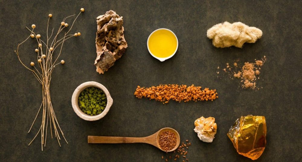EMEA_PI_20170322_Lino_Ingredients_LA-1-scaled.jpg