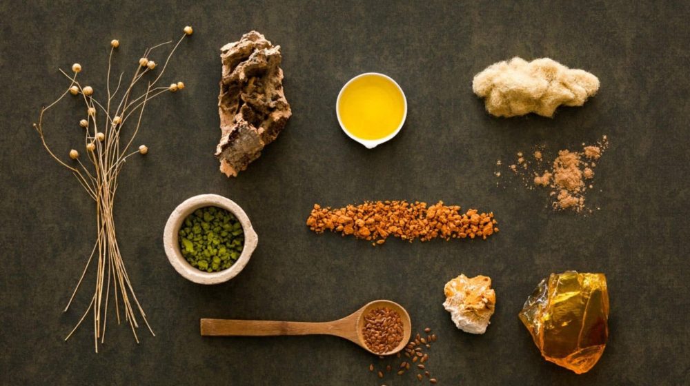 EMEA_PI_20170322_Lino_Ingredients_LA-1-scaled.jpg